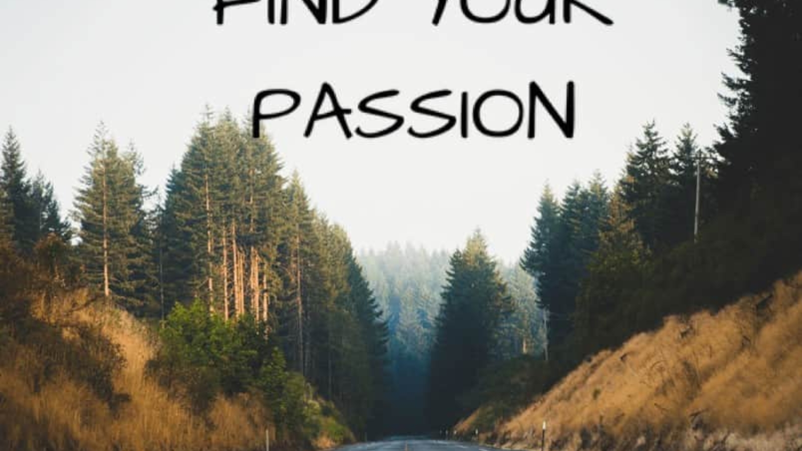 Find-your-passion